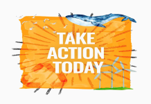 Top Benefits of Joining a Sustainable Volunteer Program Right Now