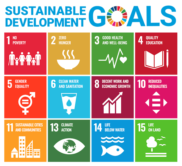 Top Benefits of Joining a Sustainable Volunteer Program Right Now