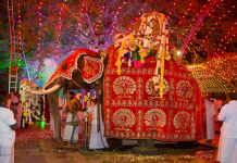 How to find the best traditional dance festivals in Asia? See the must-visit events now!