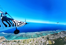 Reunion Island Airport Guide: Tips for Cheap Flights and Easy Travel!