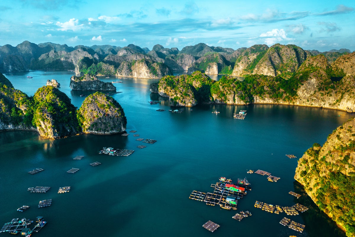 Carbon-reduction travel packages affordable? Top budget green vacations revealed today!