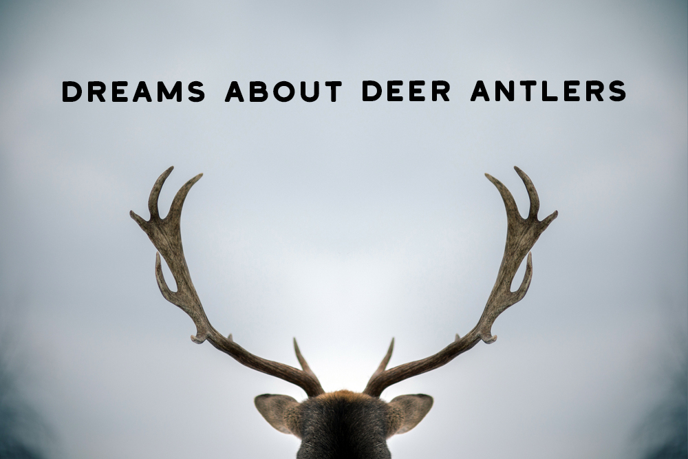 What Does a Deer Symbolize in Dreams? Quick Interpretation Guide Here!