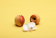 Blow Job to a Woman Explained: Why It Matters & How to Improve!