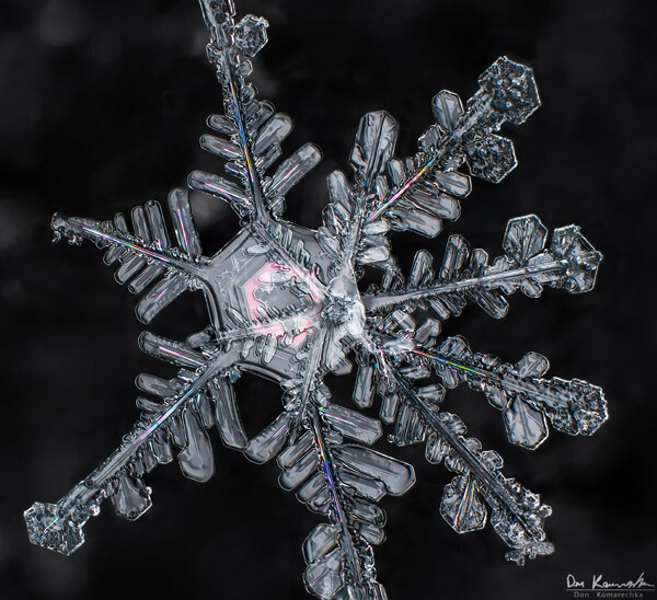 How to photograph snowflakes easily? Capture perfect snow crystals with these tips!