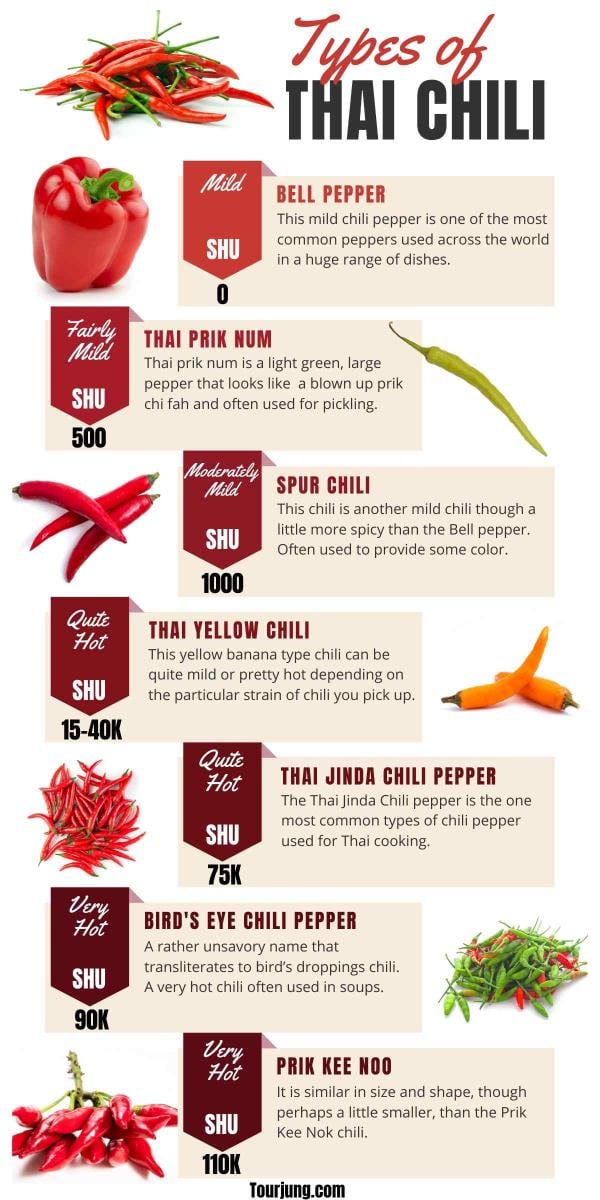 what are spur chilis? a simple guide to understand them