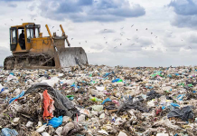 Finding Good Ethical Travel Services Expert Advice Avoid Greenwashing