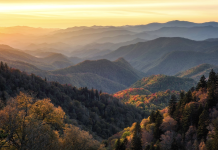 Where to find local eco-tourism experiences? Best spots near your home today!