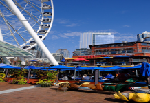 Seattle Free Activities Guide Explore the City With No Entry Fees