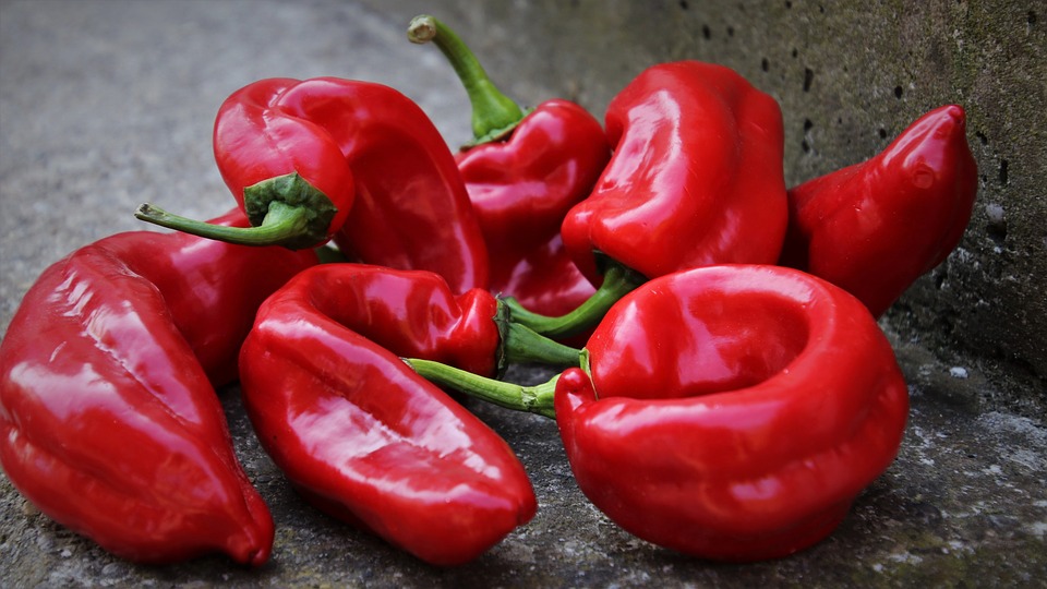 Peppers Spanish Word: Paprika or Pepper Find Out!