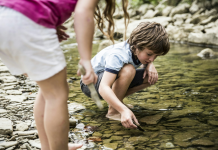 Best Places to Vacation in the Midwest How to Plan? Get These 8 Easy Tips for Your Trip