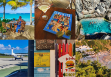 PVG Airport Live Cam Before You Go 3 Useful Live View Tips