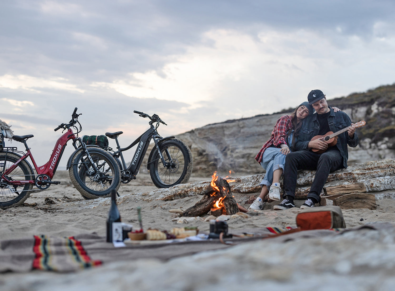 Eco-Friendly Transportation Tours by Bike or EV: Avoid Crowds Save Money Now