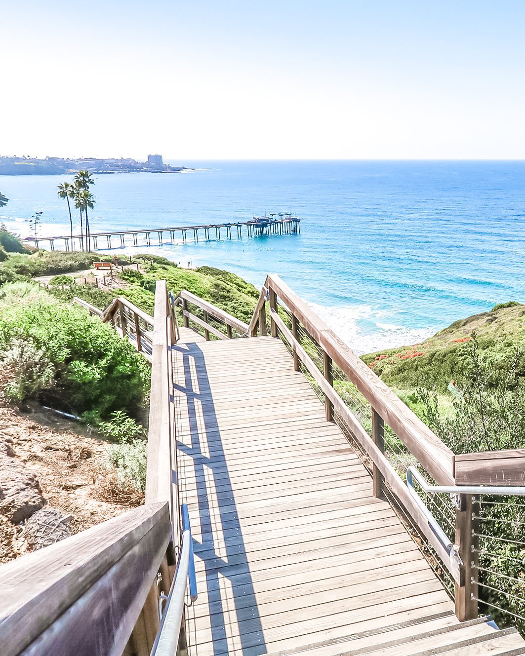 Best Warm States to Visit in USA December? Top 5 Sunny Vacation Spots