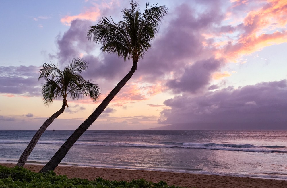 Warmest Places in US in January Revealed! Best Winter Sun Escapes