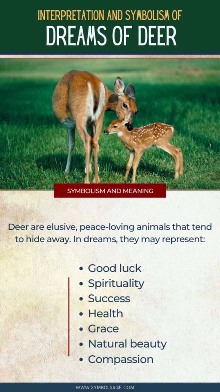 What Does a Deer Symbolize in Dreams? Quick Interpretation Guide Here!