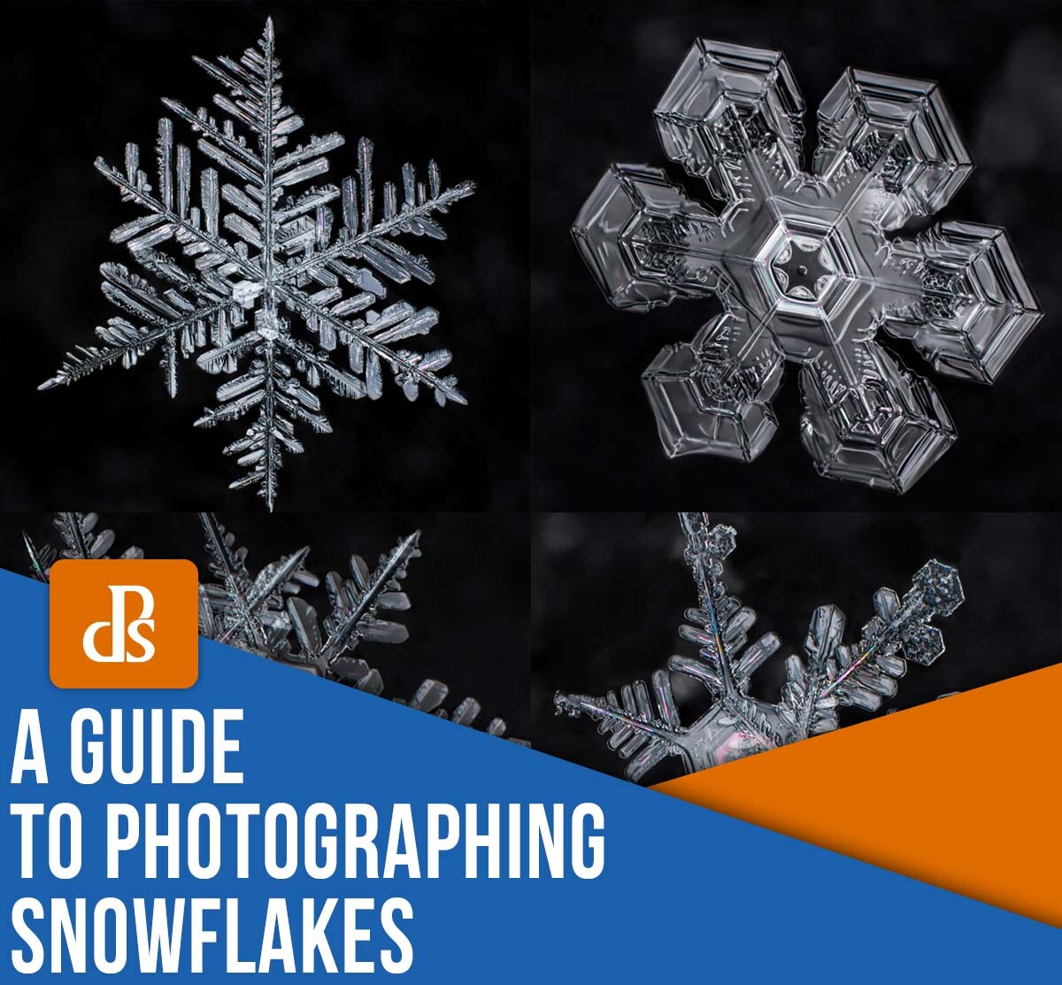 How to photograph snowflakes easily? Capture perfect snow crystals with these tips!