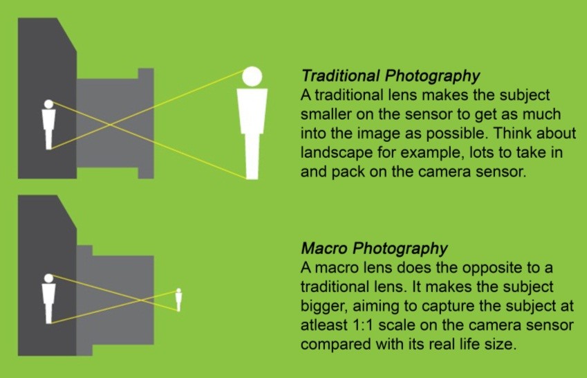 Cost of Abstract Macro Photography – Affordable Ways to Start Shooting