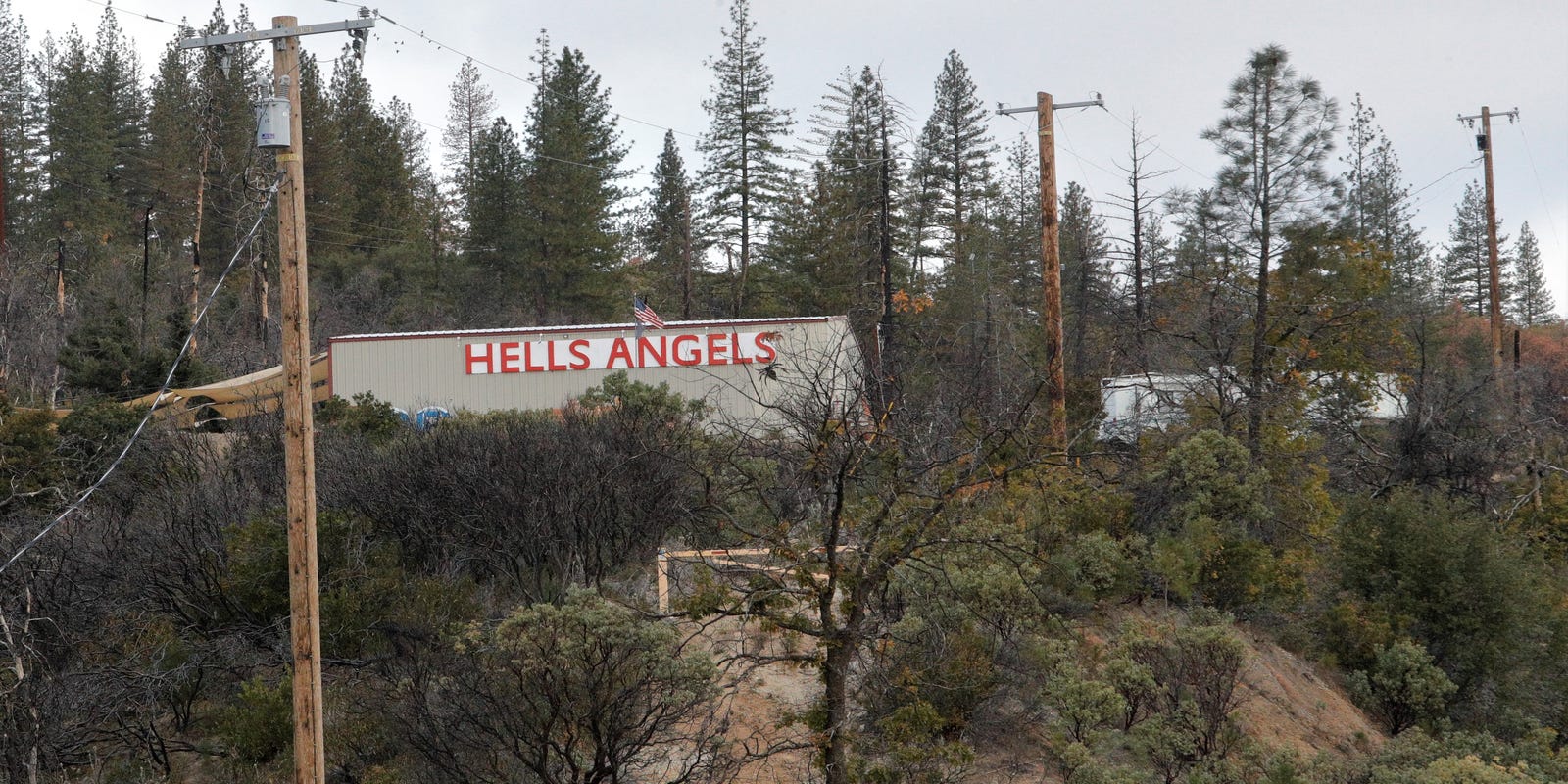 Hells Angels Whiskeytown Explained: Real Story Behind the Brand!