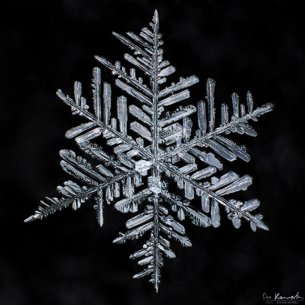 How to photograph snowflakes easily? Capture perfect snow crystals with these tips!