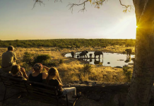 How to Plan Your Ultimate African Music Festival Trip Start Your Adventure Right