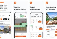 Using Search Tools: Learn How to Find Cheap Flights for Business Trips Step by Step