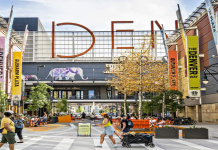 Film Festival Guide Best Tips for Planning Your Trip Now