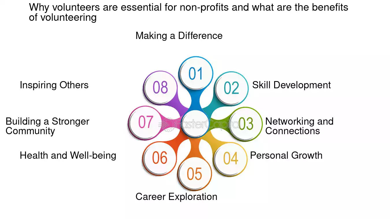 Top Benefits of Joining a Sustainable Volunteer Program Right Now
