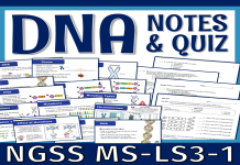 Am I Asexual Quiz Take Test See If This Describes You