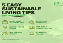 How to travel eco-friendly? 7 easy tips for sustainable vacations now!