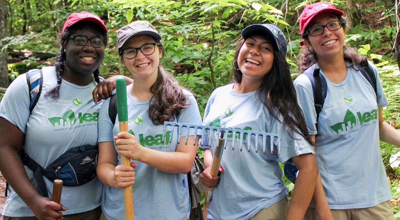 Best Green-friendly volunteer experiences to try: Help nature & meet new people
