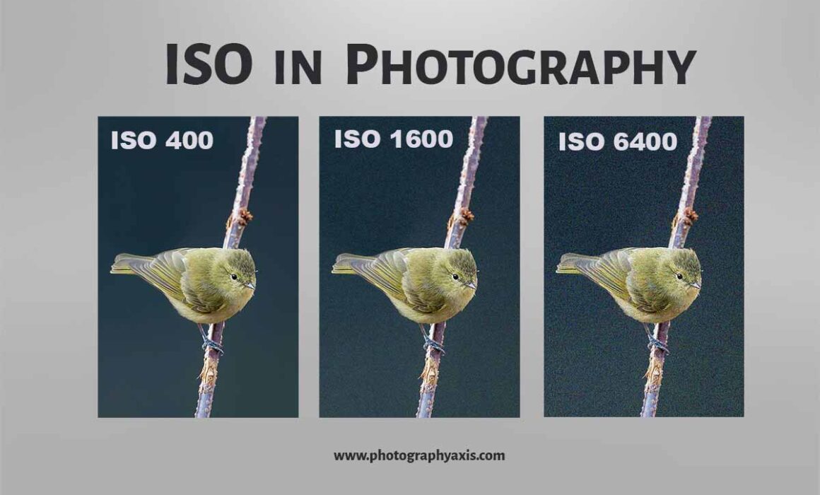 when should photographers increase iso? compare low light vs fast action needs