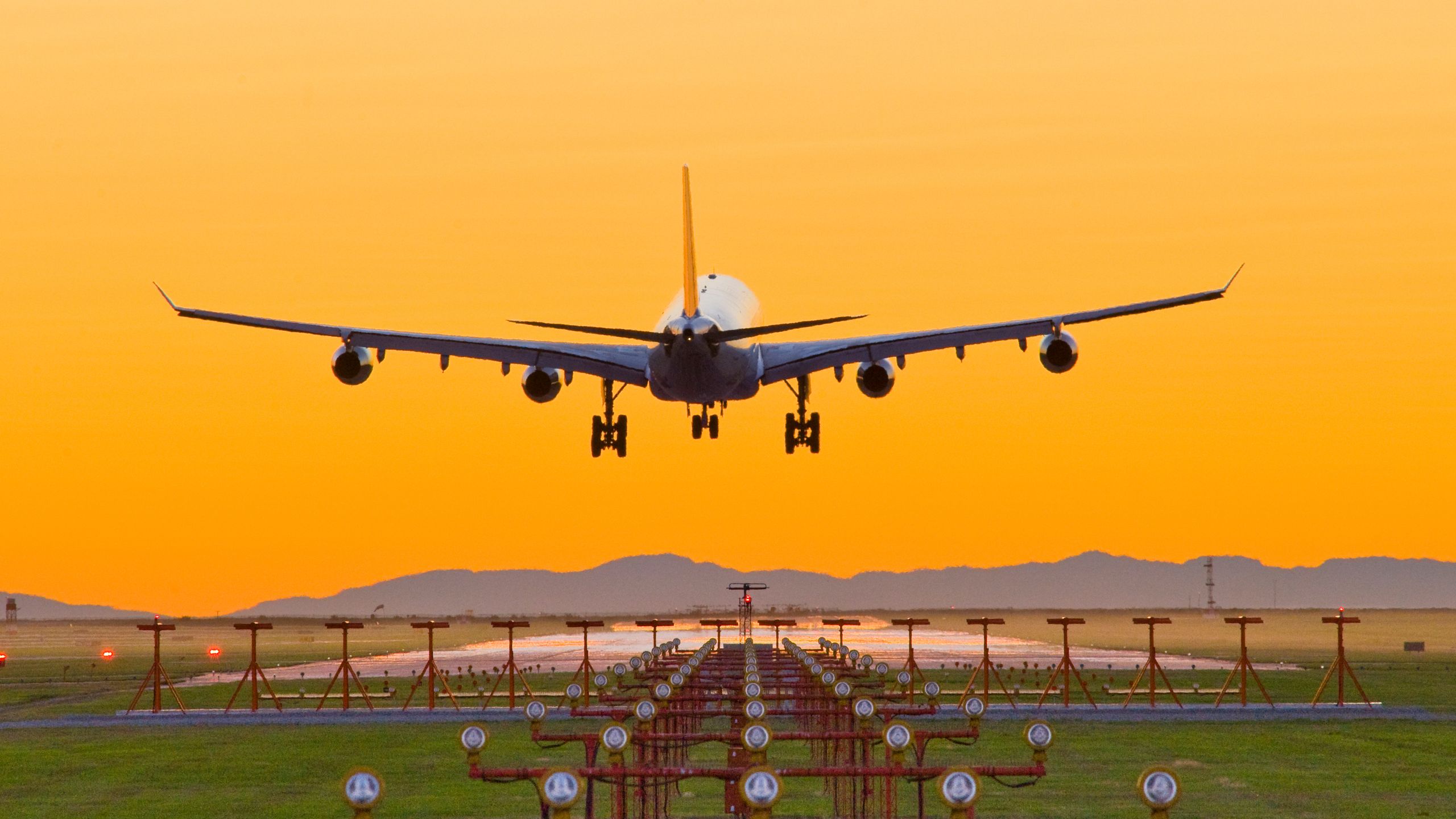 How to find cheap flights for business trips easy tips and best tools