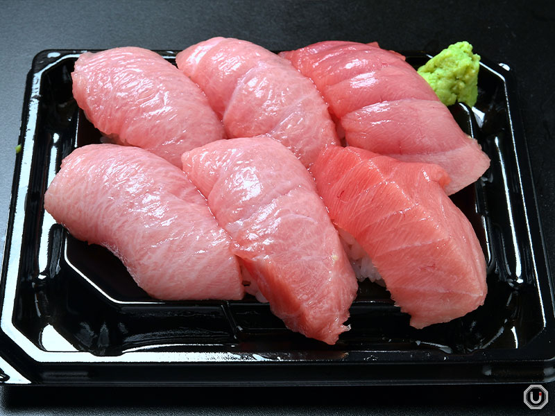 Chutoro Nigiri vs Otoro Pick Your Perfect Fatty Tuna Bite