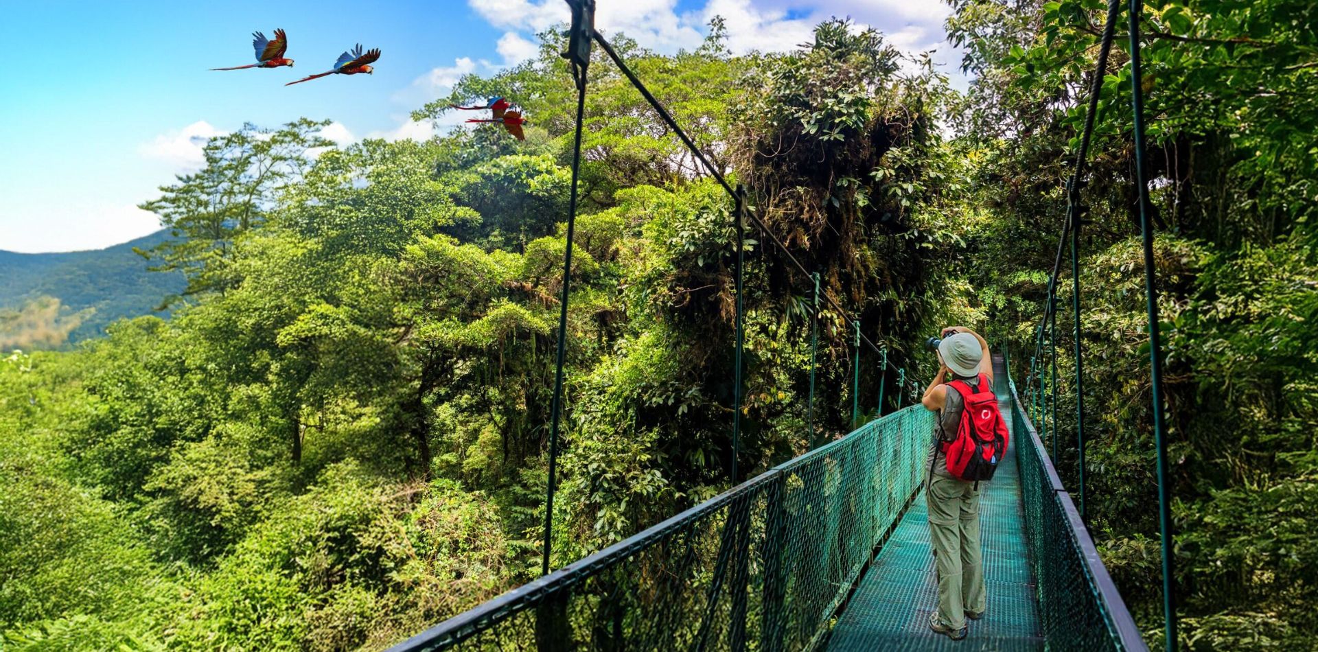 First Nature Immersion Holiday Easy Tips for Your Green Escape