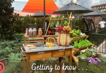 Experience the best international wine festivals for 2025: Top picks for travelers!