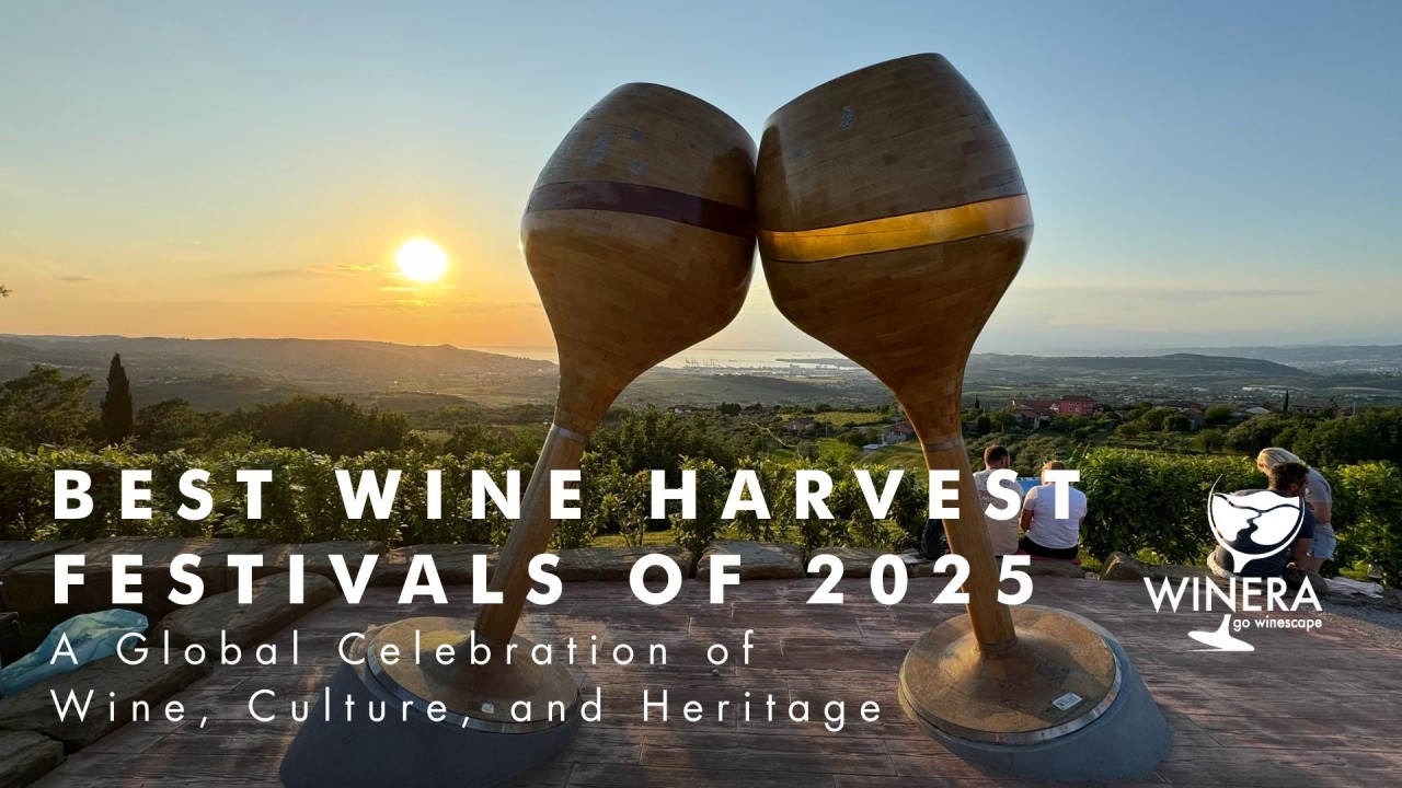 Experience the best international wine festivals for 2025: Top picks for travelers!