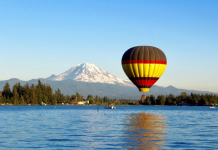 Where to find green friendly volunteer experiences? Top 6 best nature locations!