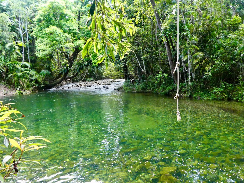 Where to find green friendly volunteer experiences? Top 6 best nature locations!