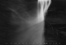 Why Popular Black and White Photos Look Cool Top Reasons Listed