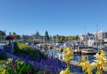 day trips from vancouver fun and affordable ideas for everyone