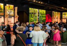 Green tourism events promotion tips make yours popular