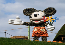 Best Outdoor Festivals Worldwide for Nature Lovers Top 10 Amazing Picks