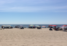 How to Find Gay Cruising Parks Near You Top Search Methods Revealed