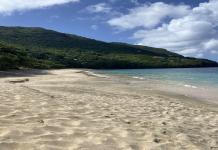 What’s the Best Time for Getting to St Vincent and the Grenadines?Find Out!