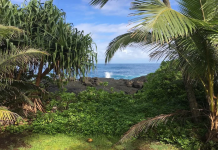 How to Hawaii on a Budget Fun and Cheap Adventure Guide