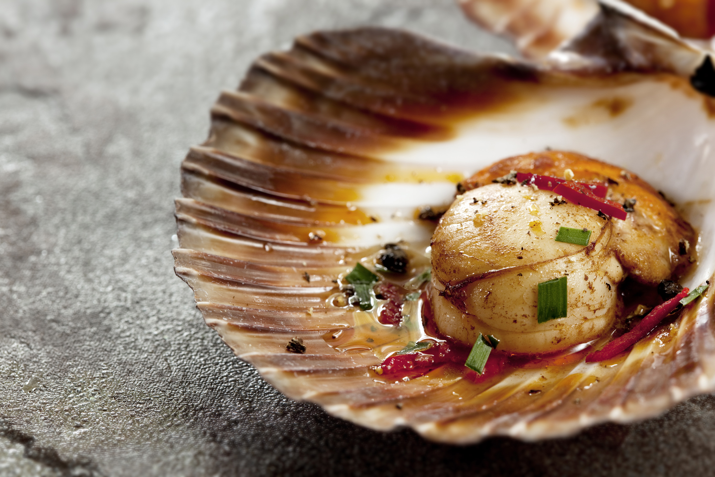 Where Do The Best Scallops Come From? Top 5 Places Worldwide!