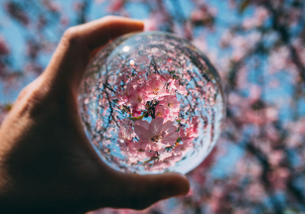How to Photograph Refraction Pic Simple Tricks for Cool Effects